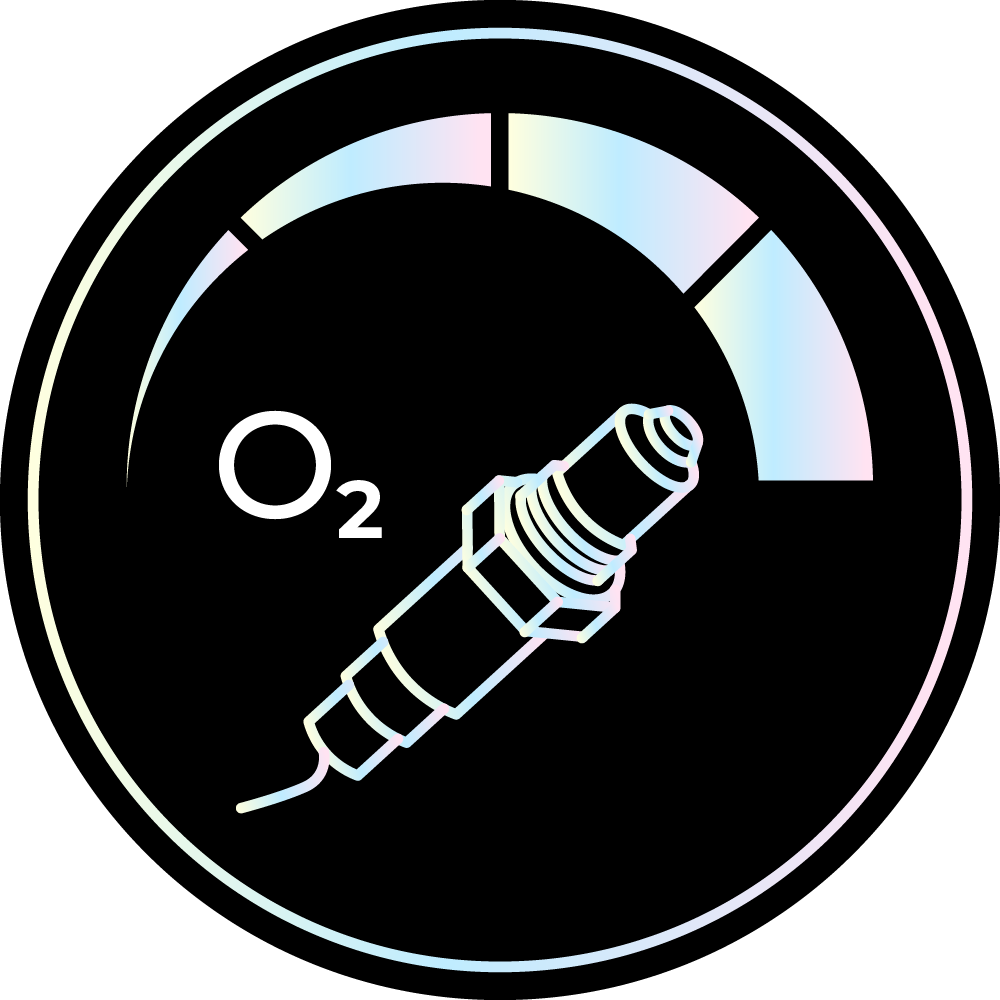 Oxygen sensor